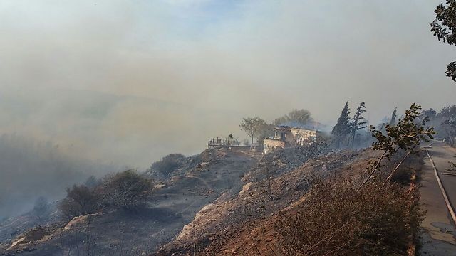 La recuperación posterior a los incendios en Israel podría durar 30 años