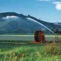agro