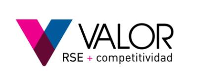 logo_valor