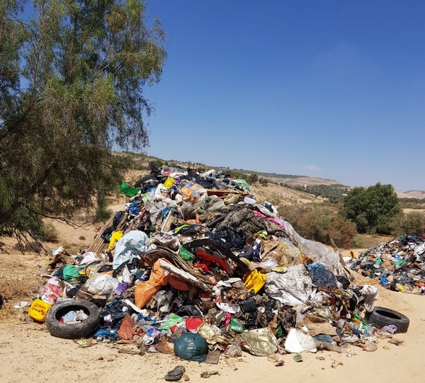 basura bosque kkl
