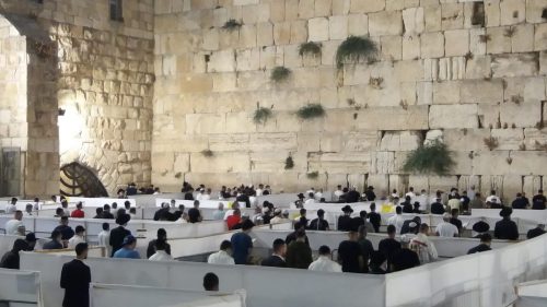 סליחות ראשונות בקפסולות בכותל המערבי (5)