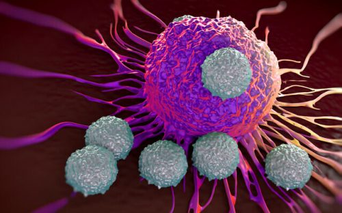 T-cells attacking cancer cell  illustration of  microscopic photos