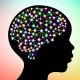 3d digital neuro multicolored colorful glowing human brain with child head black silhouette