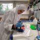 Dr. Sharkia at the lab preparing samples for DNA sequencing