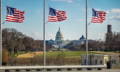 American Flags and US Capitol – Washington, D.C., USA