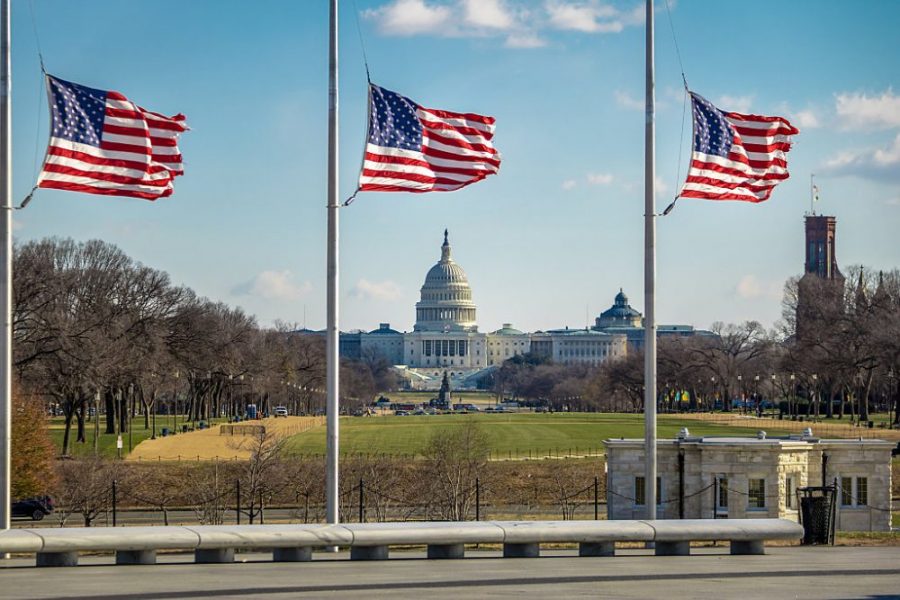 American Flags and US Capitol – Washington, D.C., USA