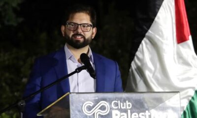 Boric palestinos