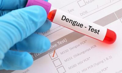 dengue-cropped-640×400