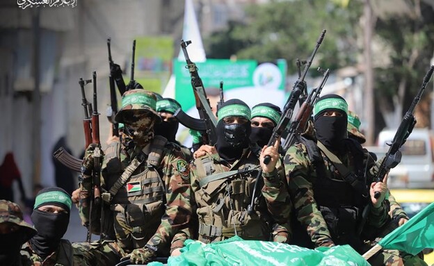 hamas2_autoOrient_i