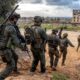 IDF