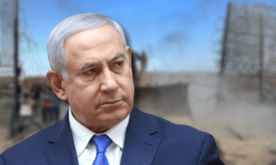 bibi comi