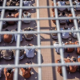 Prisioneros palestinos