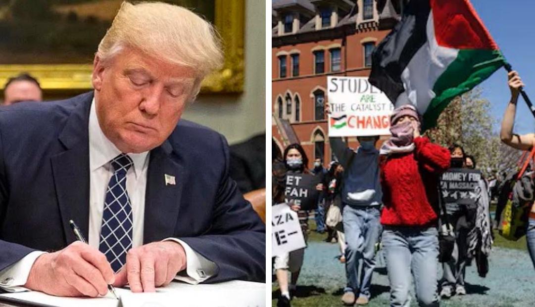 Trump manifestantes pro palestinos universidad