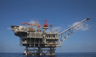 Tamar plataforma