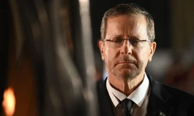 herzog duelo
