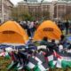 campus banderas palestinas