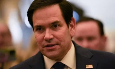 Rubio Marco