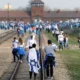 Auschwitz-C