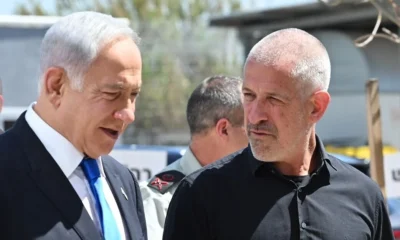 bibi r