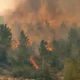 incendio moshav Eshtaol