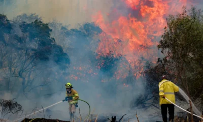 incendios