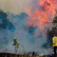 incendios