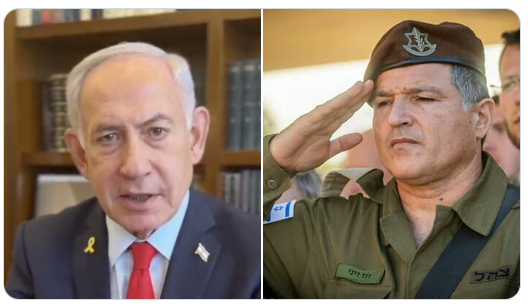 Netanyahu Zini