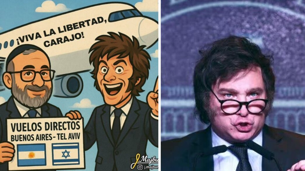 Milei vuelos