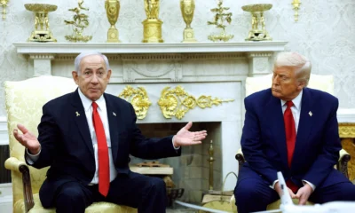 trump haza