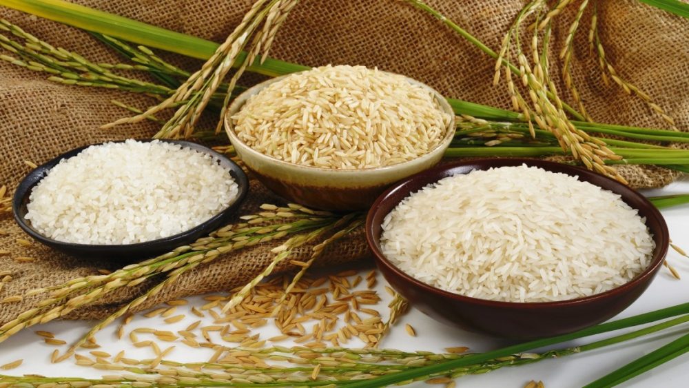 California cultivará arroz de forma sustentable con tecnología israelí