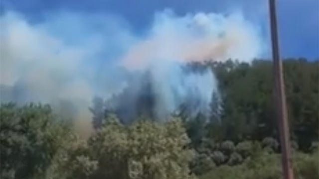 Israel. Gran incendio en el Bosque Biriya en la Alta Galilea