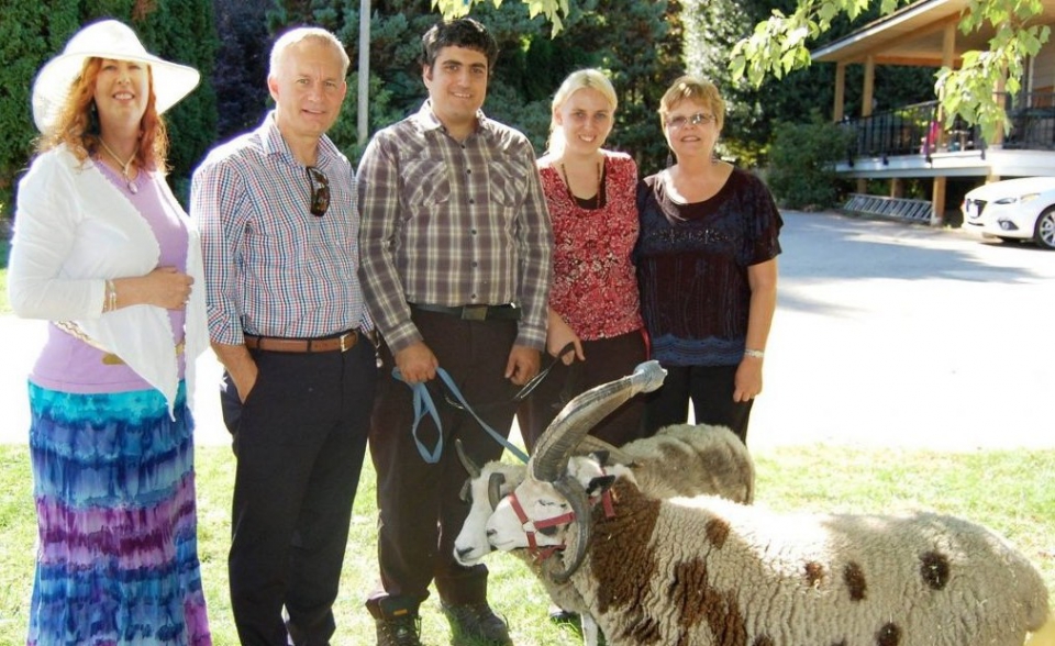 Una pareja israelí llevará “ovejas bíblicas” desde Canadá al Estado Judío