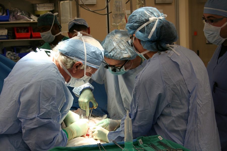 Avances. Israelíes investigan cómo preservar los órganos durante más tiempo para los trasplantes